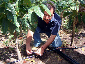 Micro Drip Irrigation