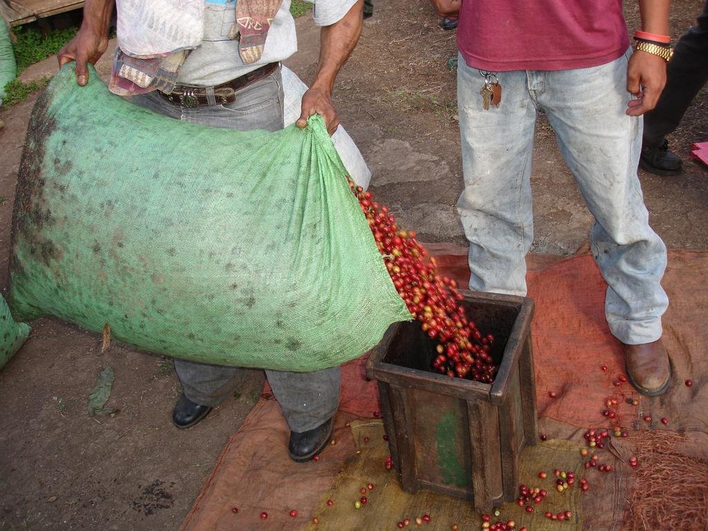 Help Farmers in Nicaragua Move Out of Poverty