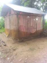 Patient after having mosquitos net