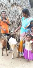 We gave sheef to help children education