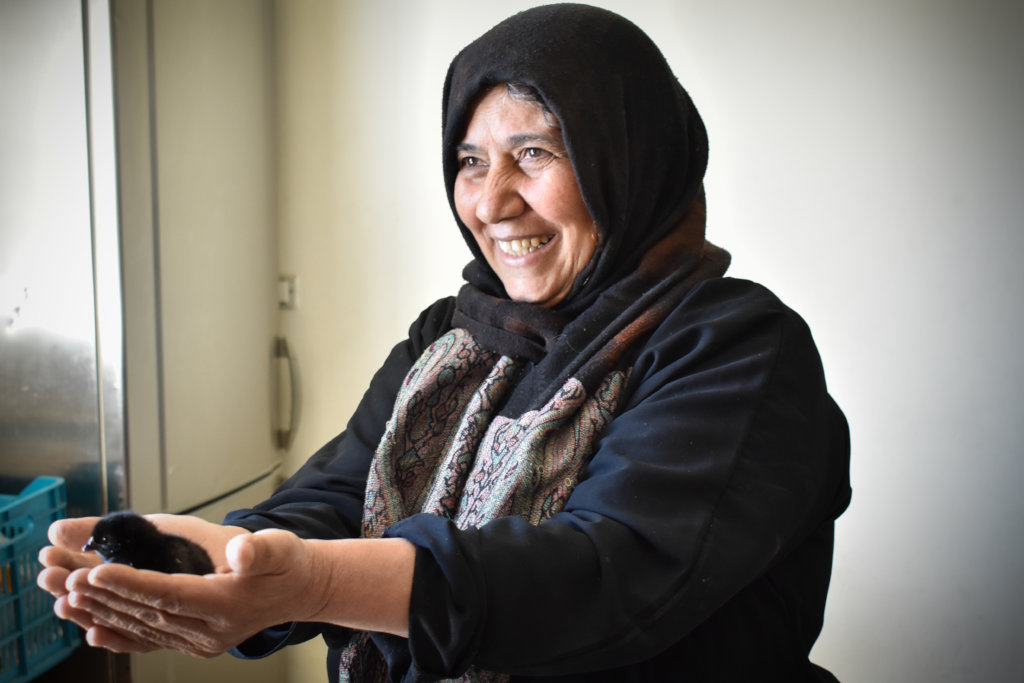 Support Small Entrepreneurs in Lebanon & Jordan