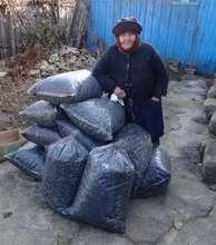 Coal Delivery for Winter