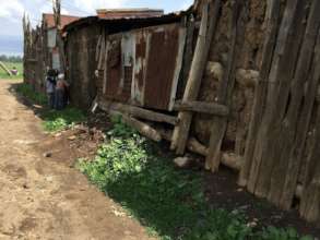 There is one pit toilet at the end of the row.