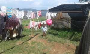 Makeshift tin & plastic tarp home