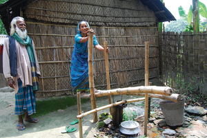 With IDE's support farmers here are cultivating Boro rice which
