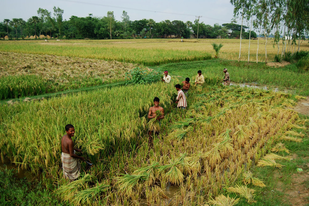Prosperity Packages for Rural Bangladeshi Farmers