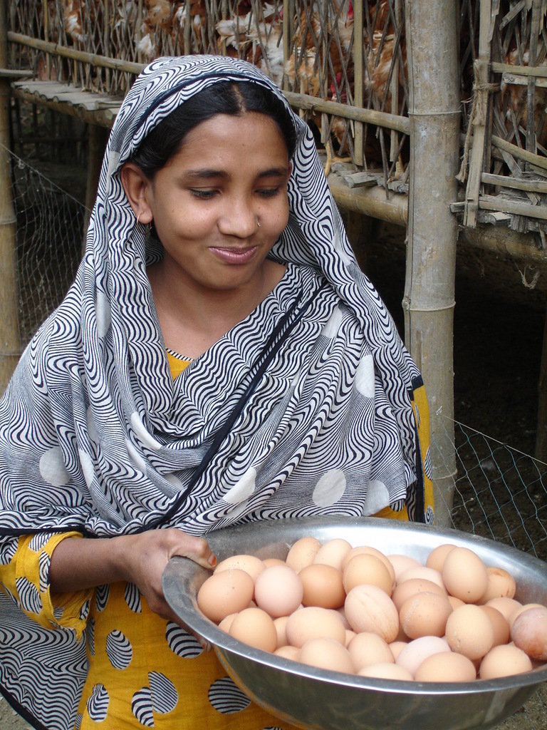 Prosperity Packages for Rural Bangladeshi Farmers