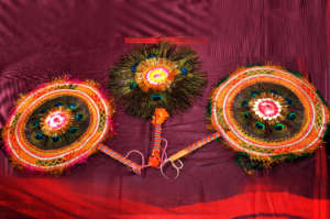 Peacock's Fans