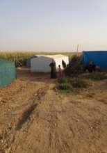 Beneficiaries of the protection program in Turkey
