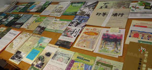 Chinese and other Green Maps being Archived, 2011