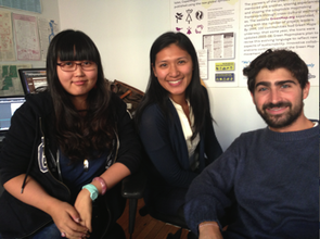Chinese-speaking staff at Green Map System