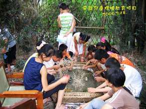 Making Green Maps from Natural Materials