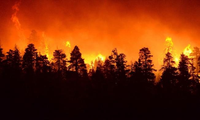 California Wildfires Response Fund