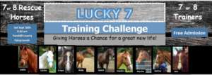 2016 Lucky 7 Horses