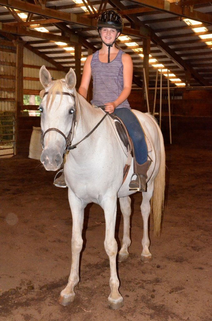 Help us protect a horse for life!