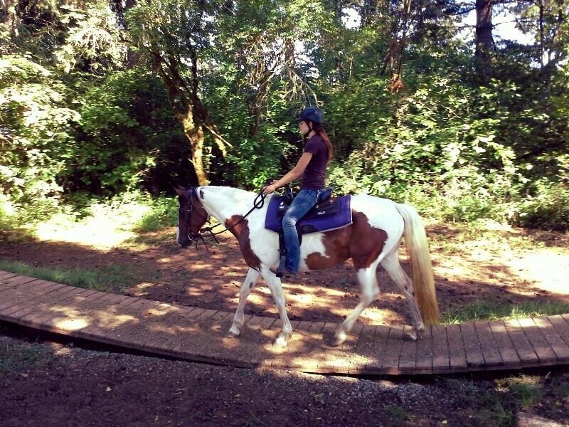 Help us protect a horse for life!