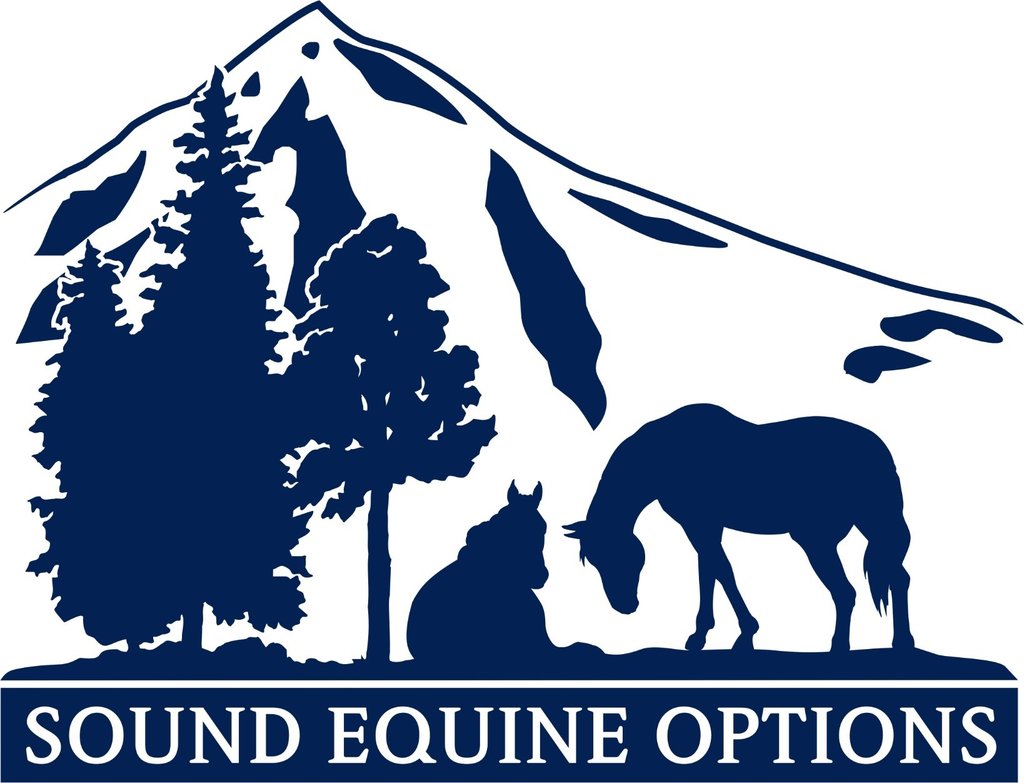 Help us protect a horse for life!