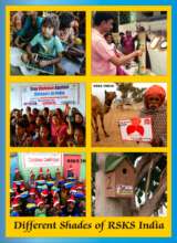 Diffrent sheds of RSKS India