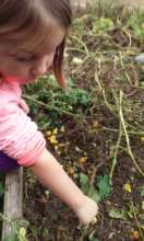 Planting Seeds