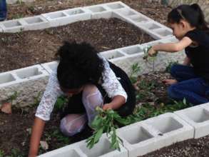 Students Help Clear Paths