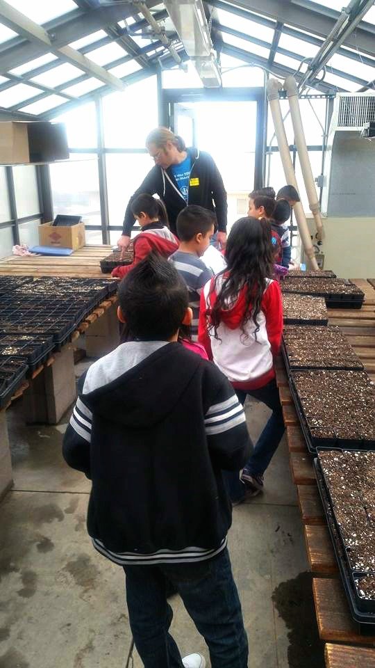 Create Garden Classrooms at 3 Low-Income Schools