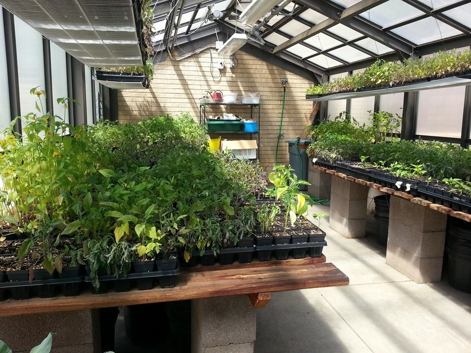 Create Garden Classrooms at 3 Low-Income Schools
