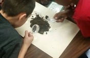 Create Garden Classrooms at 3 Low-Income Schools