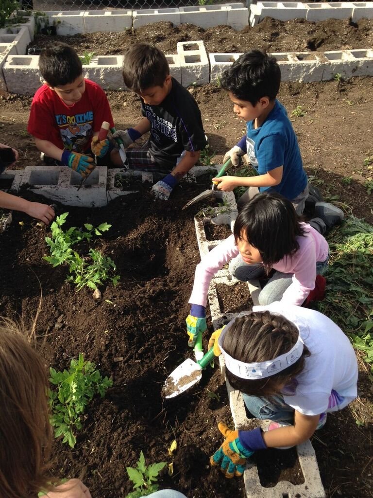 Garden Club Planting