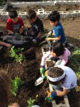 Garden Club Planting