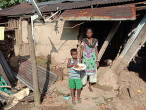 House damaged by elephants