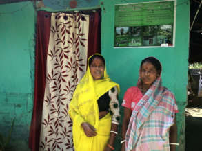 Tea Estate Labour Women