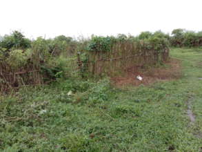 Vegetation cleared by the Gram Panchayat and team