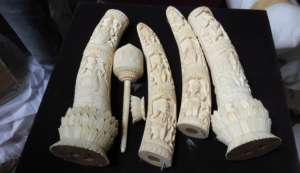 Delicately carved ivory articles seized
