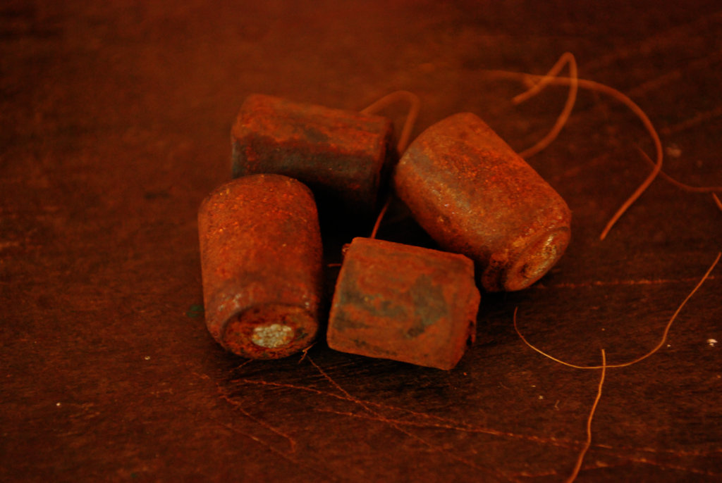 Help Save Elephants in India