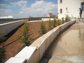 Abir's Garden taking shape! Notice the plantings