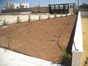 Garden area near front gate