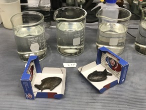 Iron analysis and acidfication