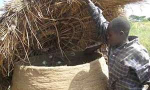Emergency to karamoja