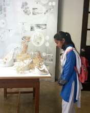 Student Admiring Art at IVS Thesis Display