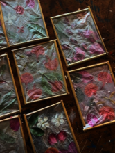 Floral Frames