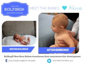 Meet the babies