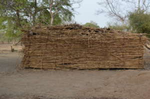 Millet stalks make up all four sides of the school