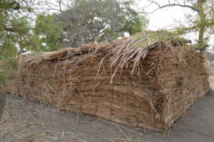 During the rainy season the roof collapsed