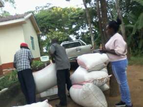 Loading moringa seeds to DNRC track  for sale