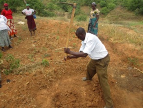 Farmers preparing holes to plant moringa