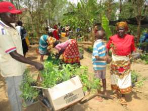 farmers being issued with moringa seedlings