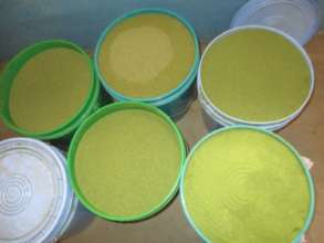 moringa powder