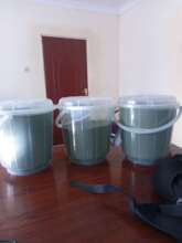 DNRC Moringa powder
