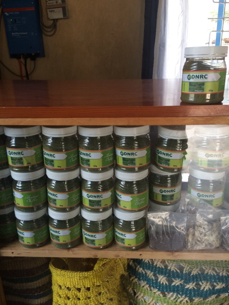 Moringa to support Kenyan farmers health & wealth