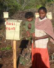One Beneficiary woman with honey bee boxes